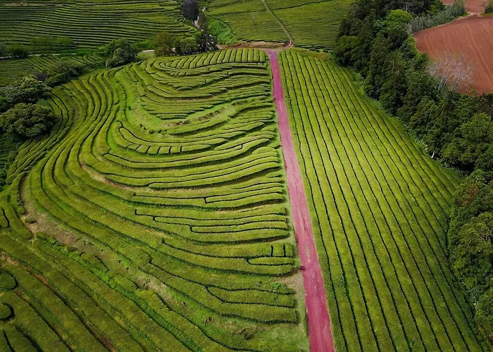 Apartamento Paradise Gorgeous Views Location On Island! Ponta Delgada